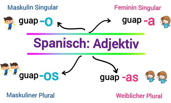 Formen des Adjektivs und Pluralbildung